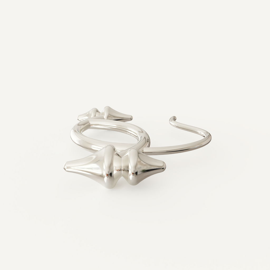 Deni Earrings Silver