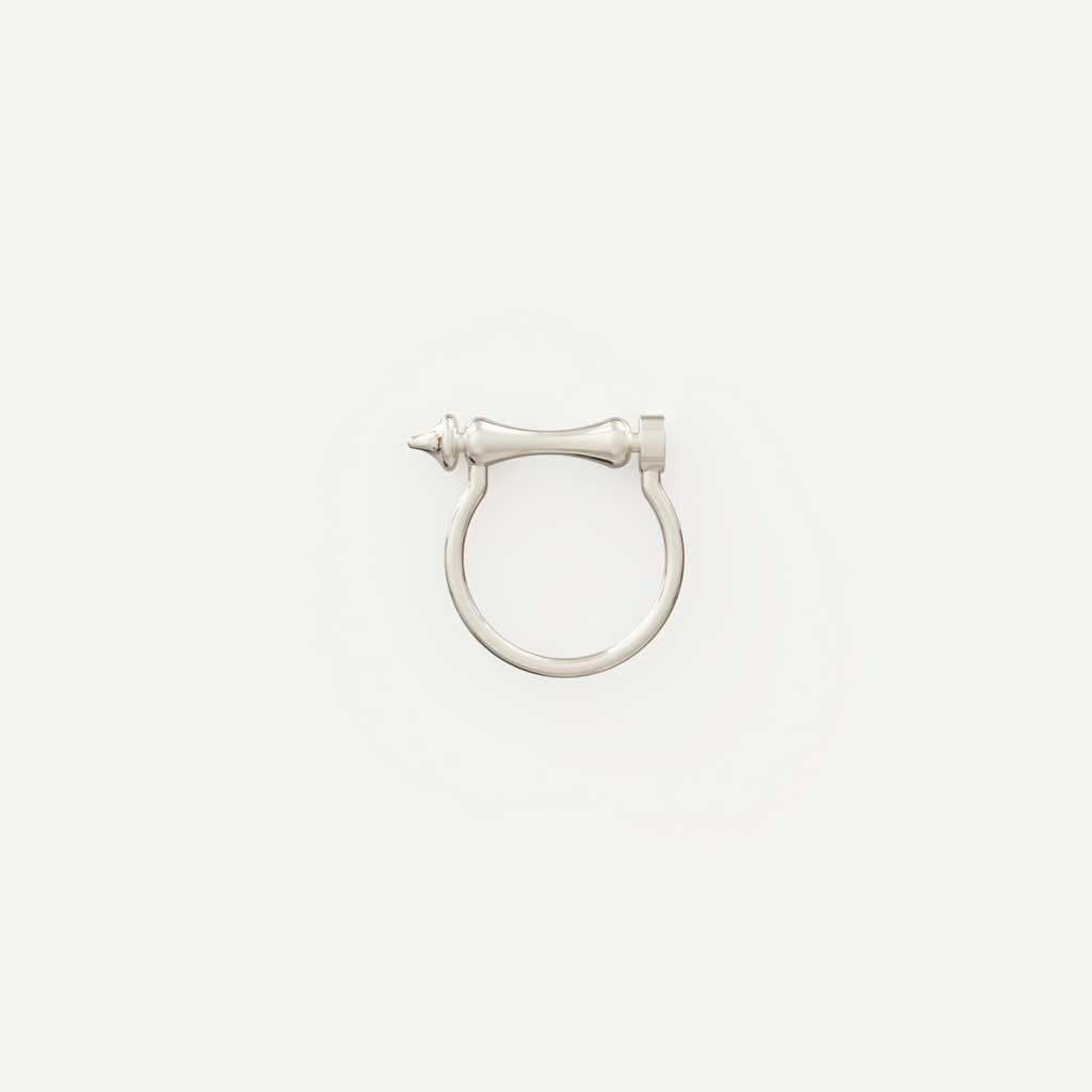 Darien Ring Silver