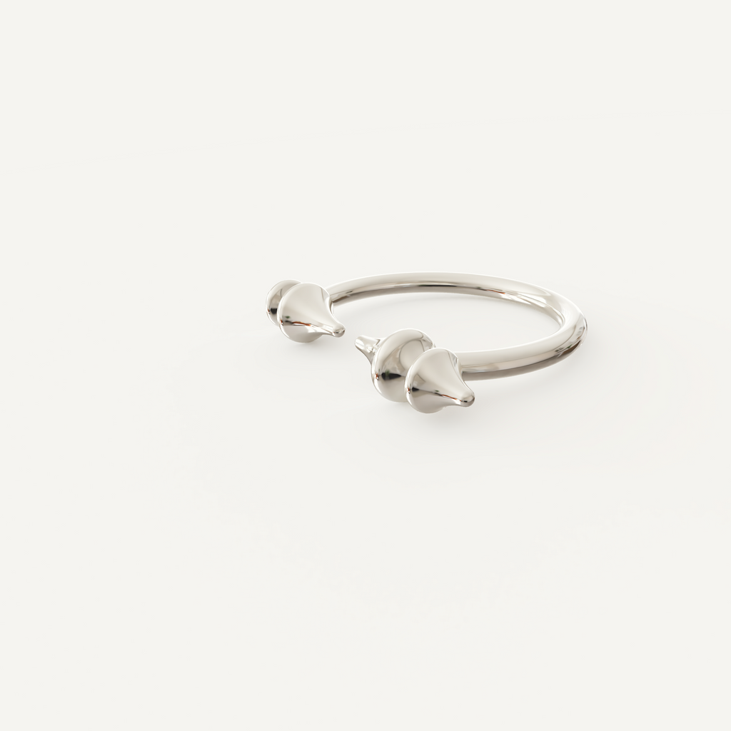 Deni Ring — Silver