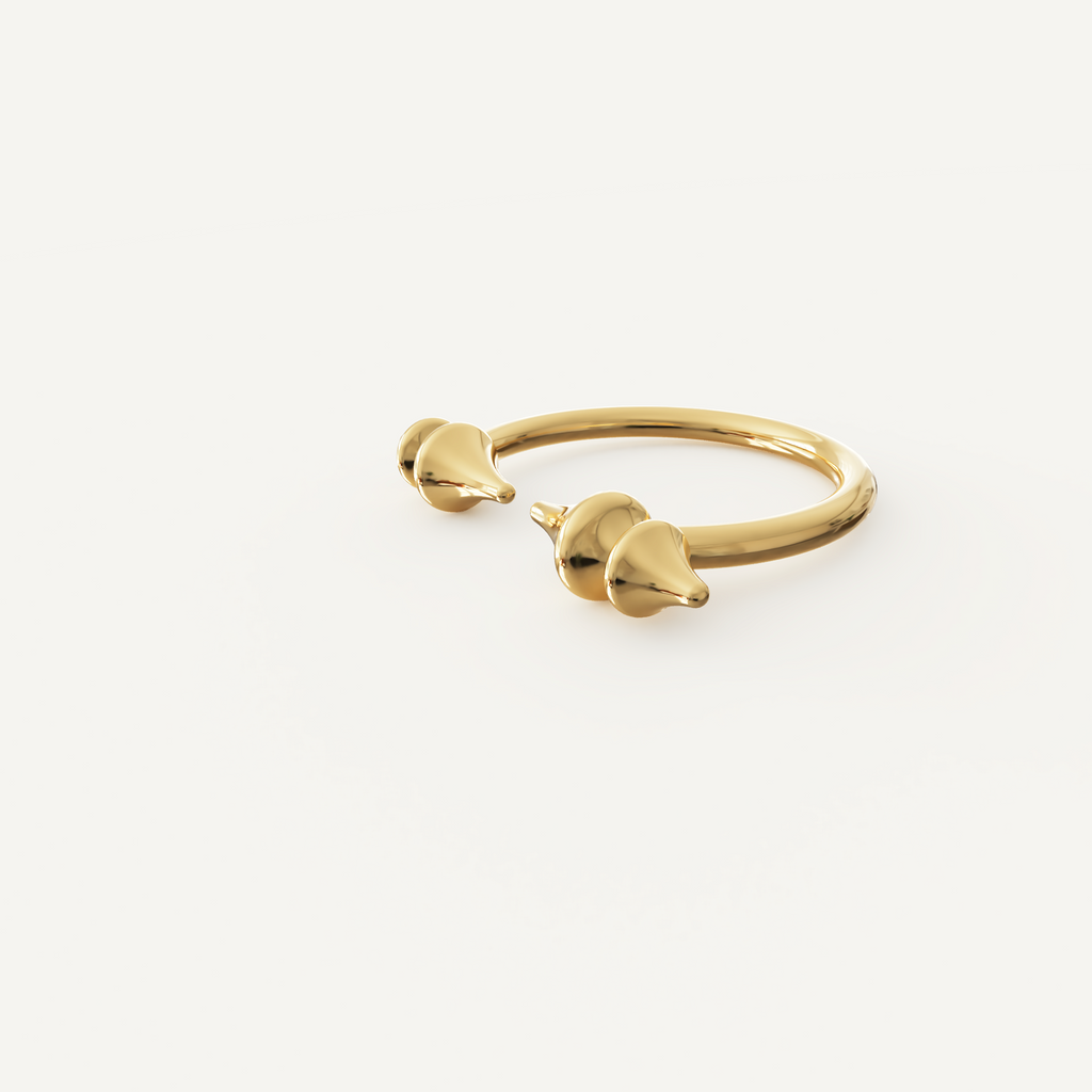 Deni Ring